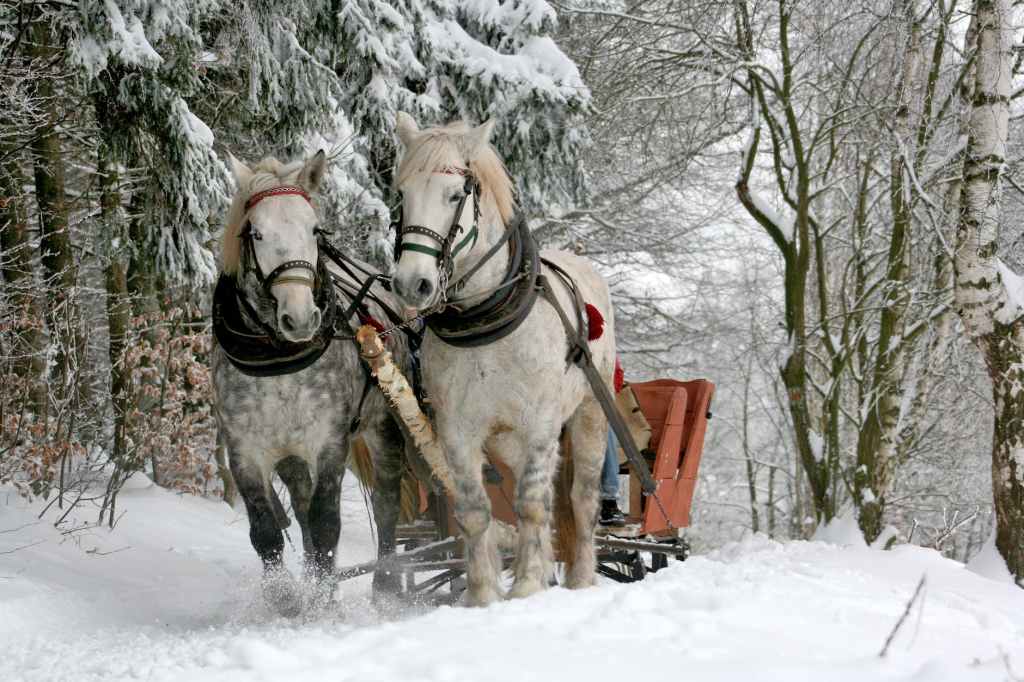 Jingle Bells: A musical sleigh ride through&nbsp;time