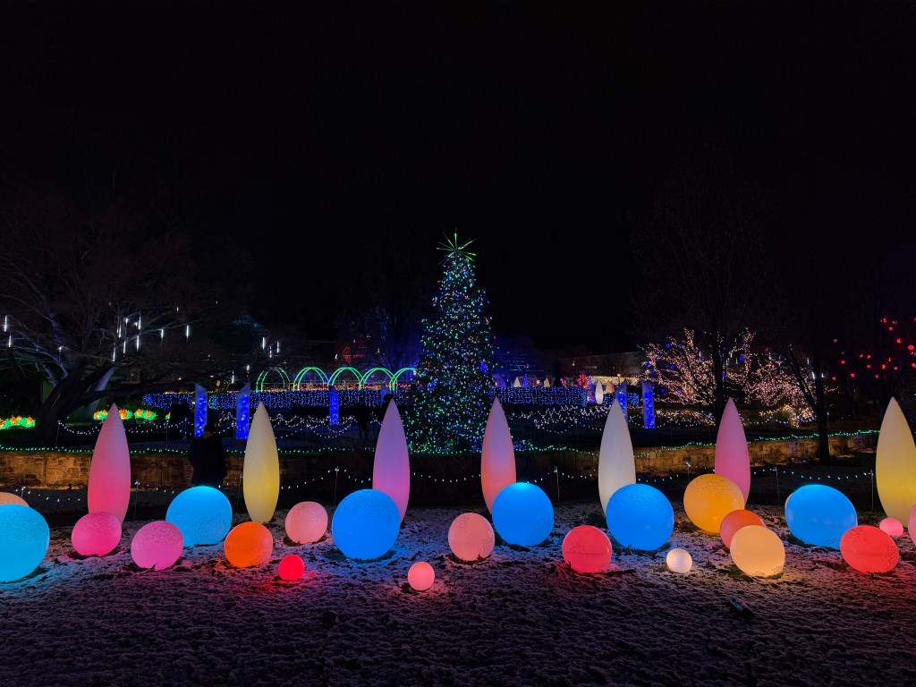 Holiday Magic: Visit Phipps’ Winter Flower Show and Light Garden in&nbsp;2024