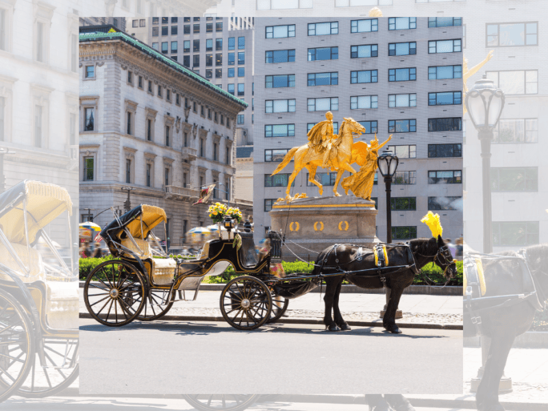 New York City moves to ban horse-drawn carriages by&nbsp;2028